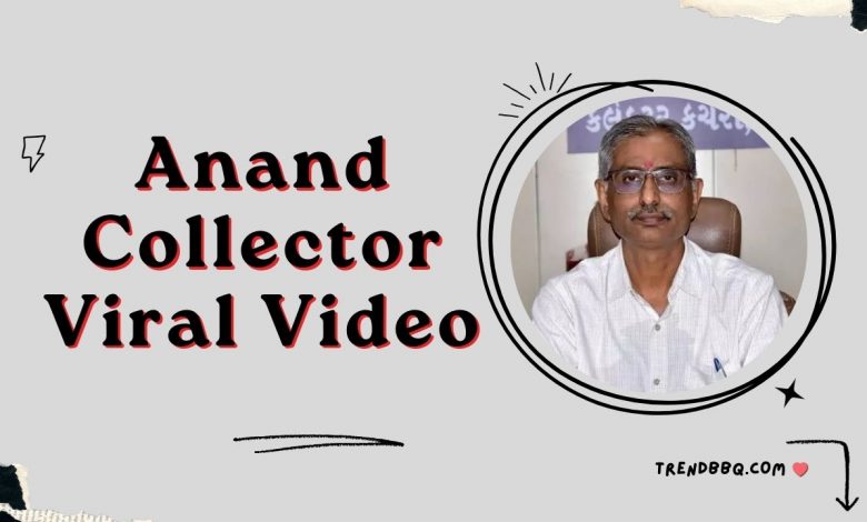 Anand Collector Viral Video