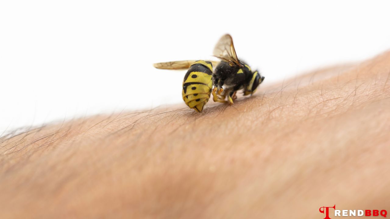 Harm of being stung by a bee