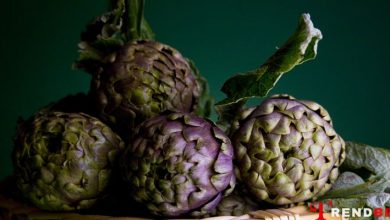How to Cook Artichoke: A Guide for Beginners