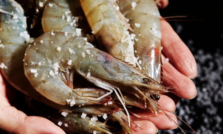 How to Thaw Frozen Shrimp: A Guide for Safe, Quick Methods