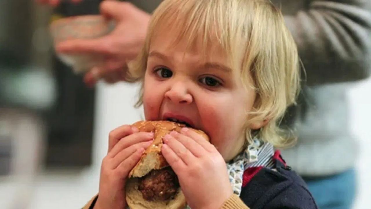 Watch Baby Hamburger Video Viral