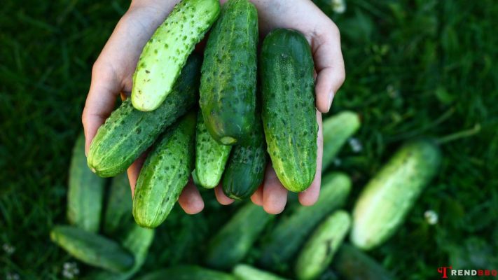 What kind of cucumbers to use