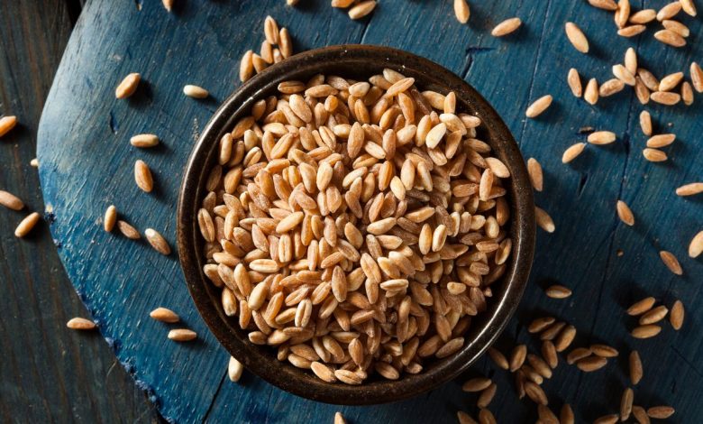 How to Cook Farro: A Guide to the Ancient Grain