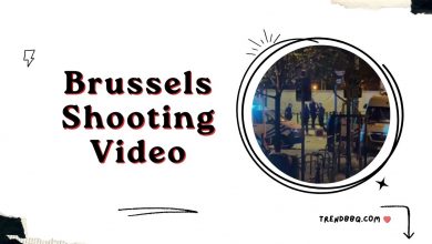 Brussels Shooting Video: Suspected Extremist Attack