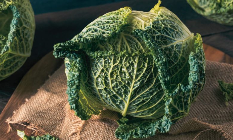 How to Cook Cabbage: A Simple and Delicious Guide