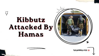 Kibbutz Attacked By Hamas: Aftermath of the Assault