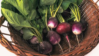 How to Cook Turnips: A Guide for Beginners