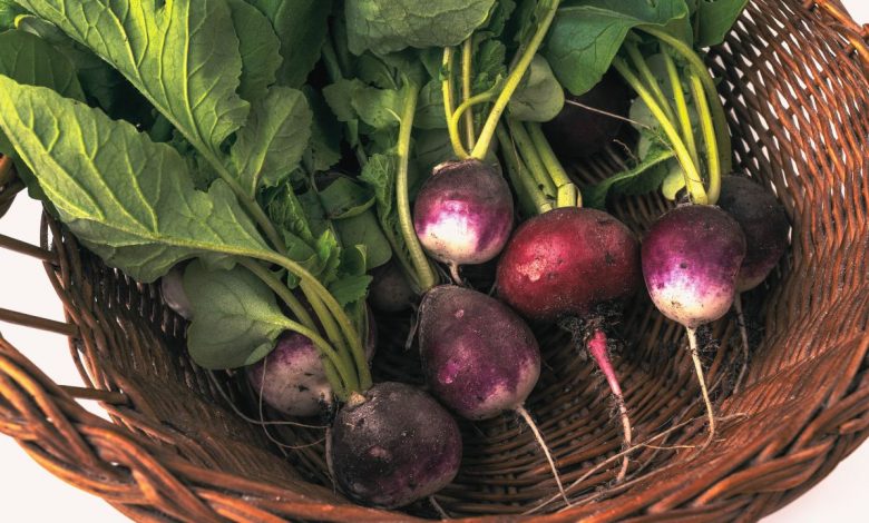 How to Cook Turnips: A Guide for Beginners