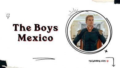The Boys Mexico: Public and Critical Reception